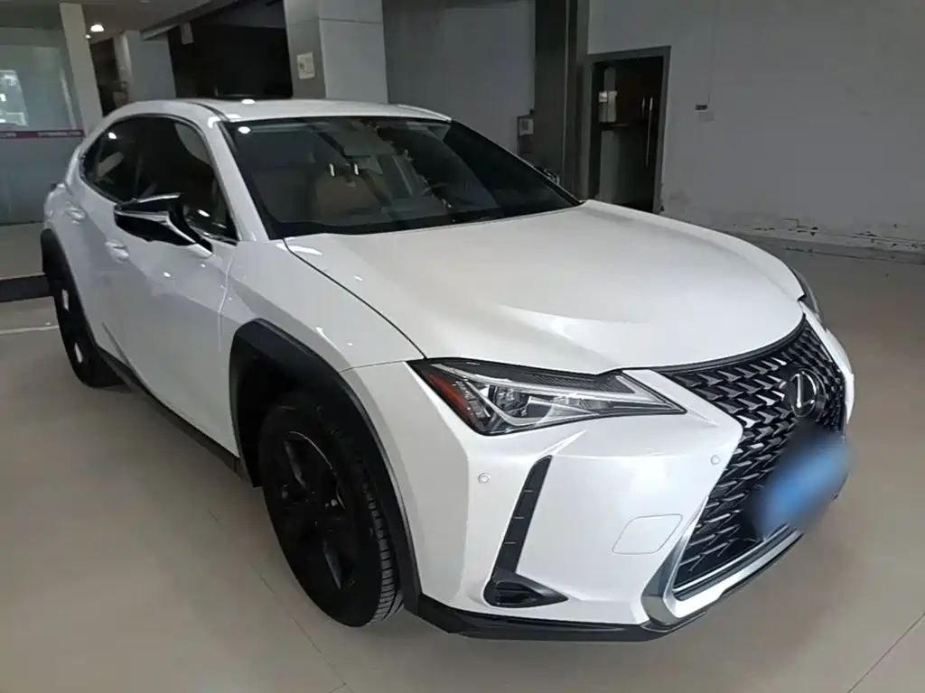 صورة 22 - Lexus UX