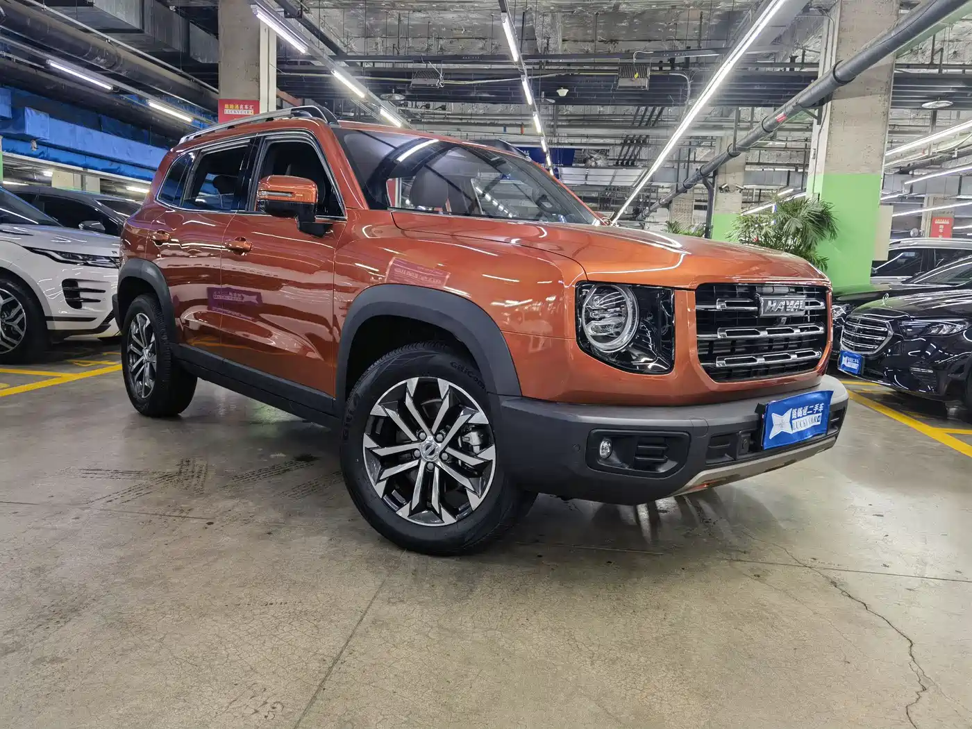 Haval Big Dog 2021 1.5T DCT 2WD Border Collie Edition фото 3
