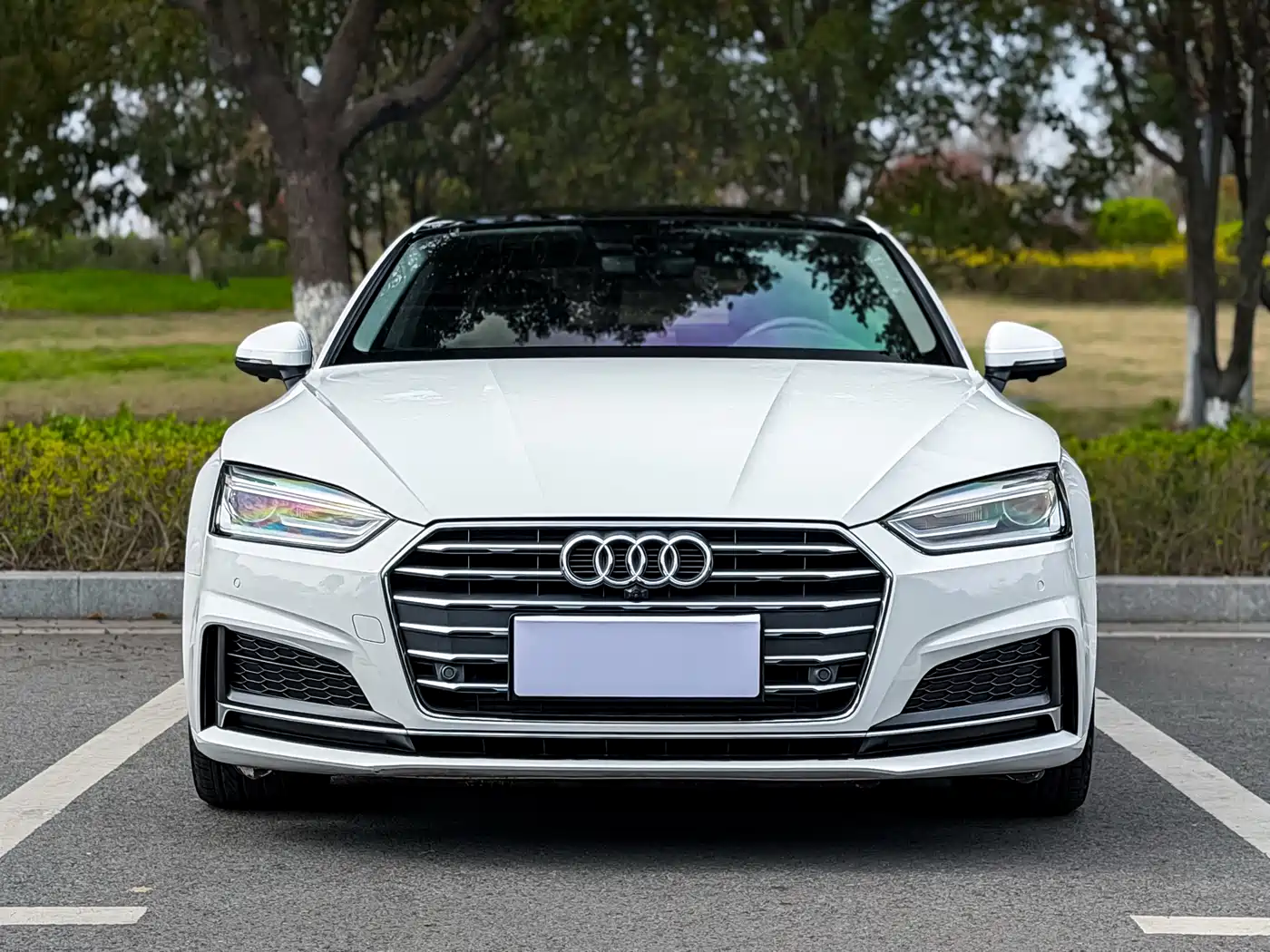 Audi A5 (Import) 2017 Coupe 40 TFSI Style фото 2
