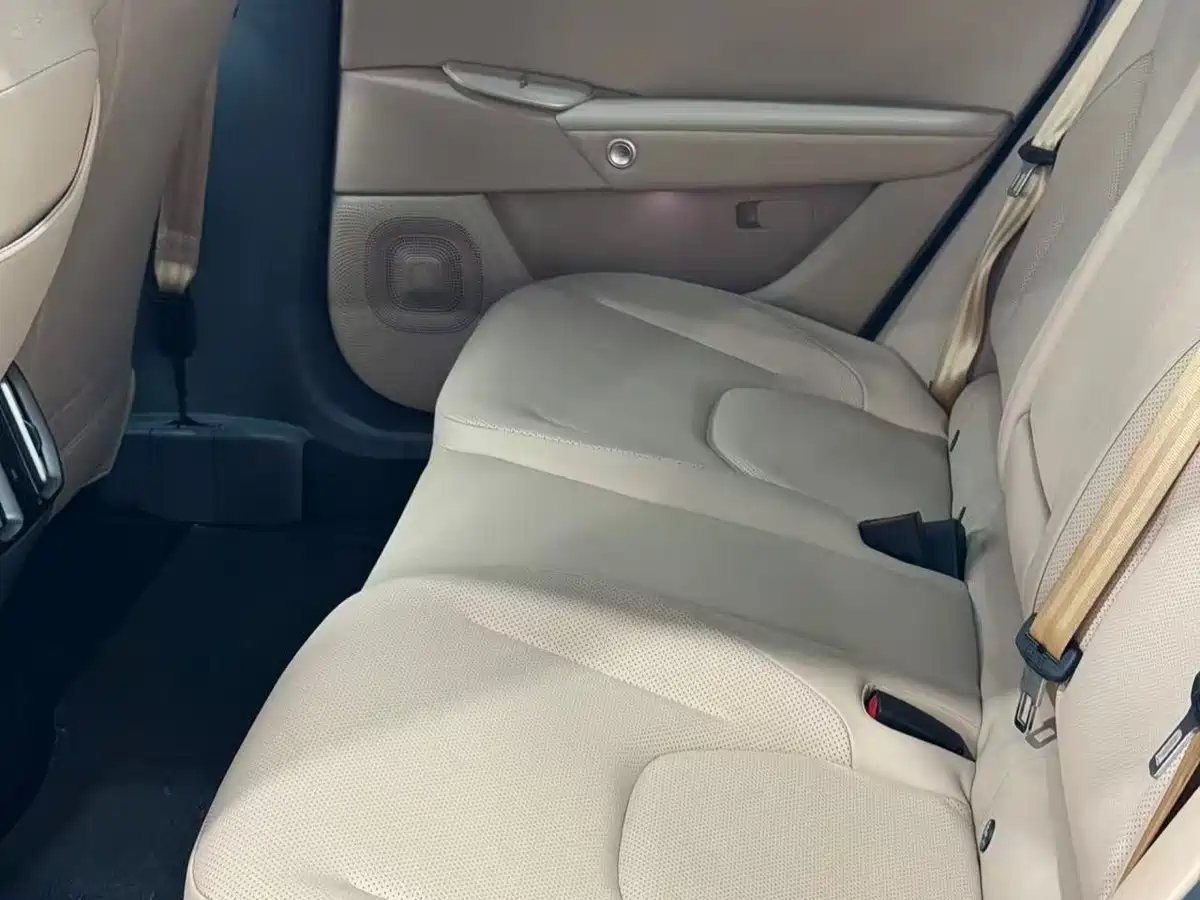 ARCFOX EXTREME FOX POLAR FOX ALPHA S5