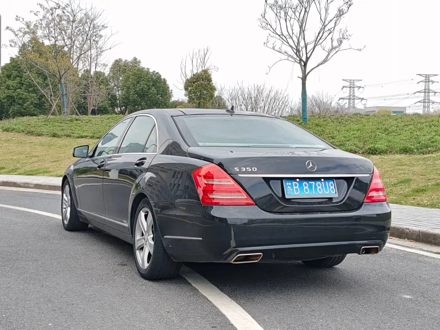 Mercedes-Benz S-Class 2010 S 350 L Luxury фото 4