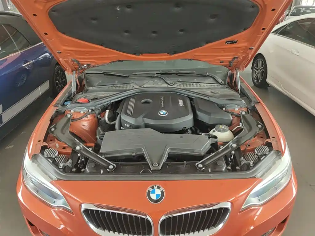 BMW 2 Series (Import) 2015 218i Convertible Coupe фото 20