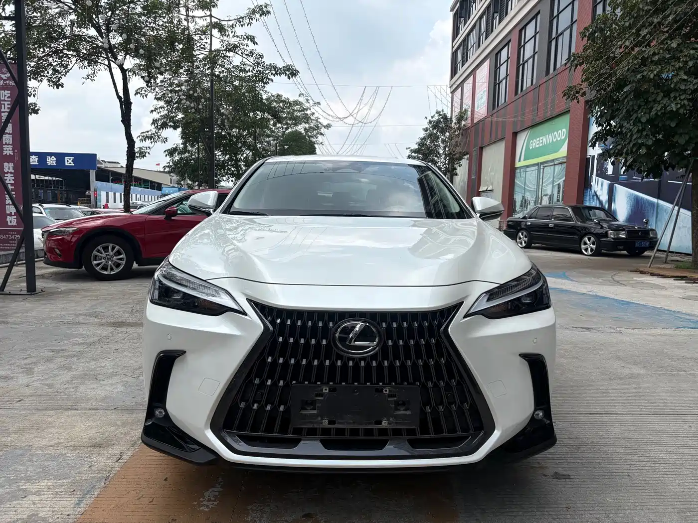 Lexus NX 2023 2022 260 FWD Joy Creation Edition