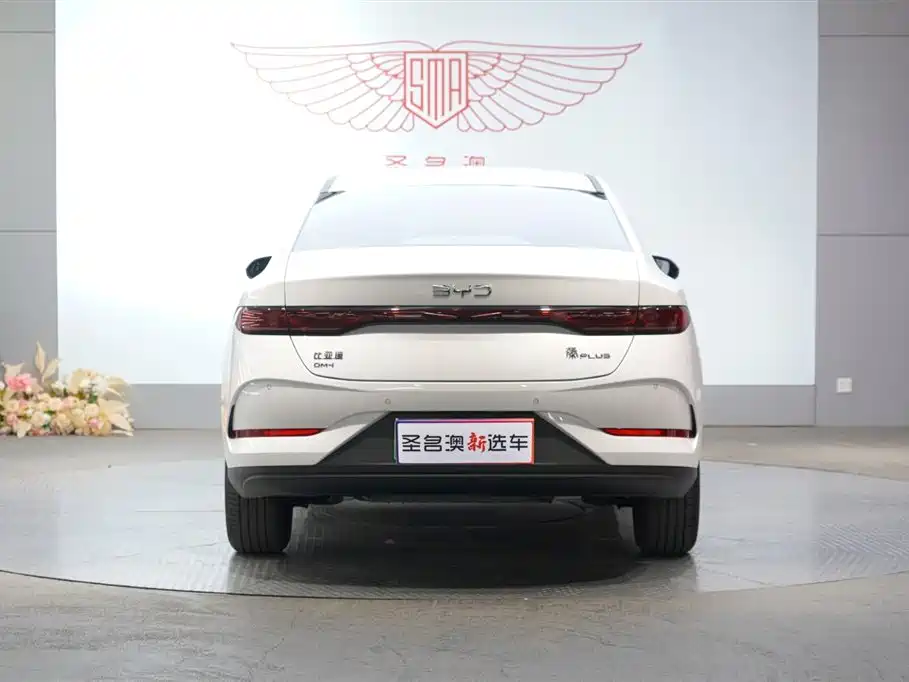 BYD Qin PLUS 2025 DM-i Smart Drive 55KM Leader фото 5