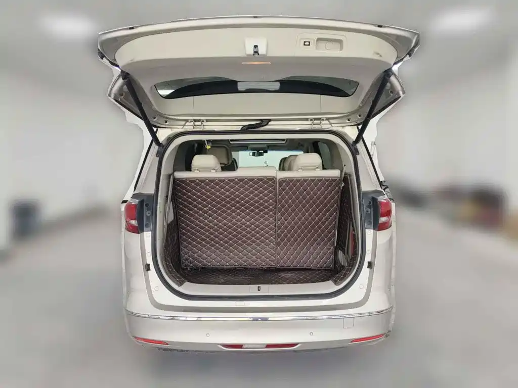 Фото 5 - Buick GL8