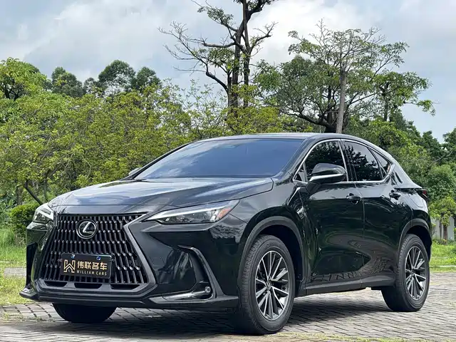 Lexus NX 2024