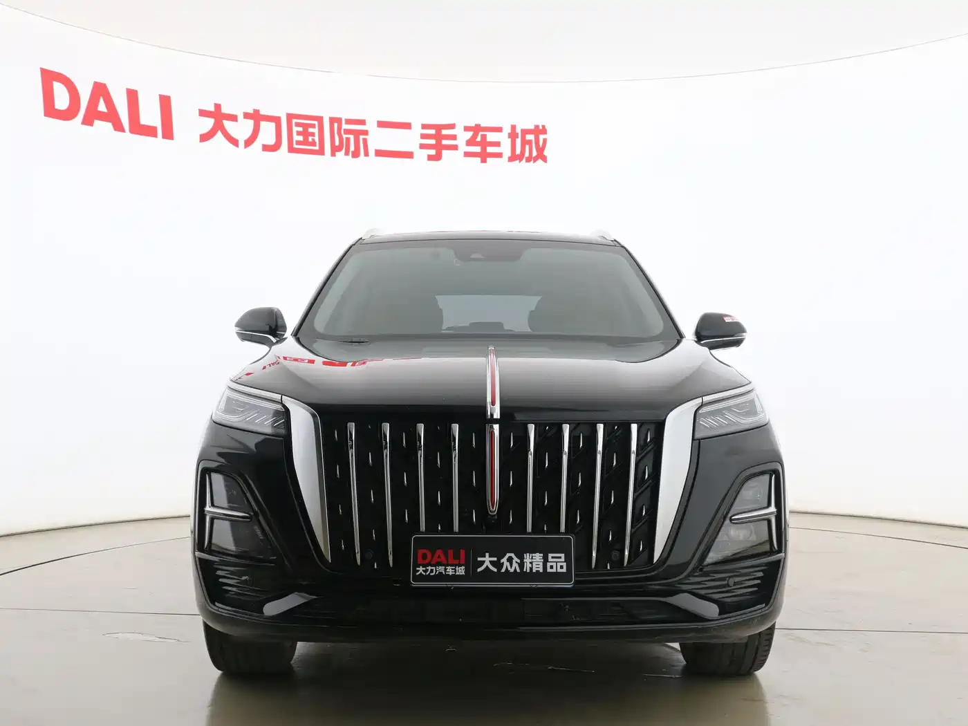 Hongqi HS5 2023 2.0T AWD Flag Pro 500,000 Units Commemorative Edition фото 4