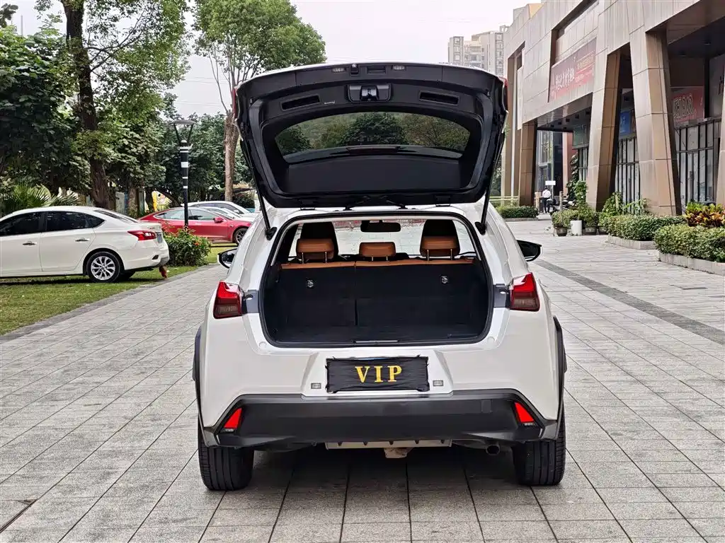 Lexus UX 2020 260h Explore Cool Edition China V фото 12