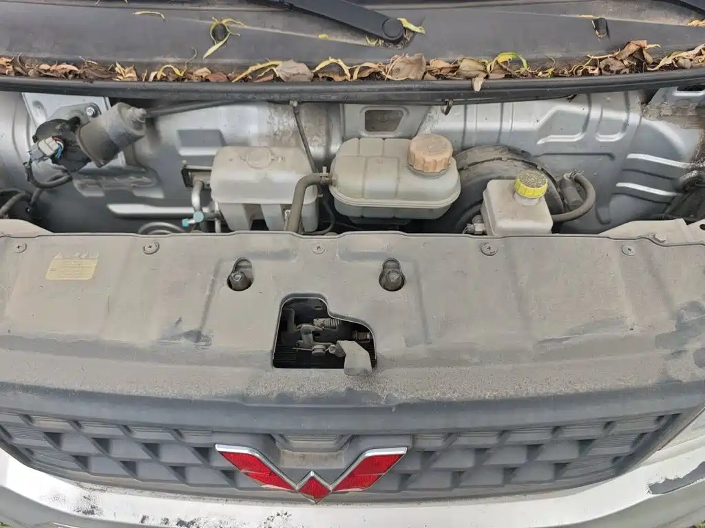 Wuling Motors Wuling Rongguang New Truck 2023 2023 2.0L Double Cab Extended Base LJM20B