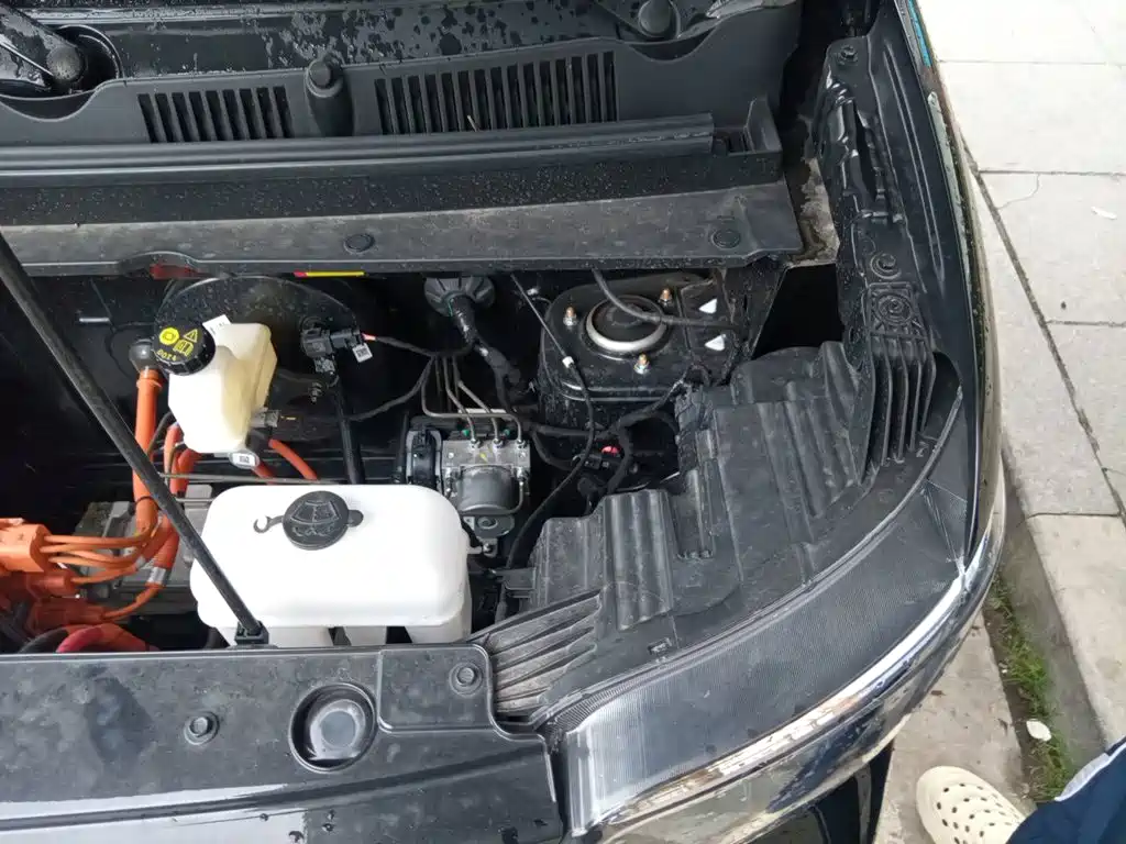 Wuling Motors Wuling Zhiguang NEV 2026 2025 Model 305km Base Version