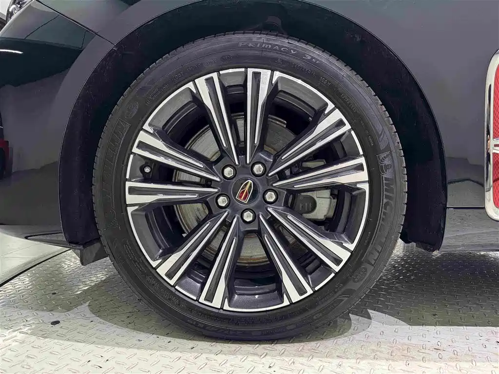 Hongqi H9 2025 2024 2.0T Qi Enjoy Private Fashion Edition