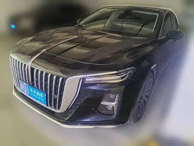 Hongqi H5 2024 2.0T Automatic Smart Connect Flag Smooth Edition — фото 1