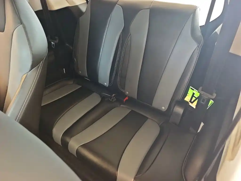 Roewe Kaiwei CLEVER 2023 2022 311km Vitality Bobo Edition