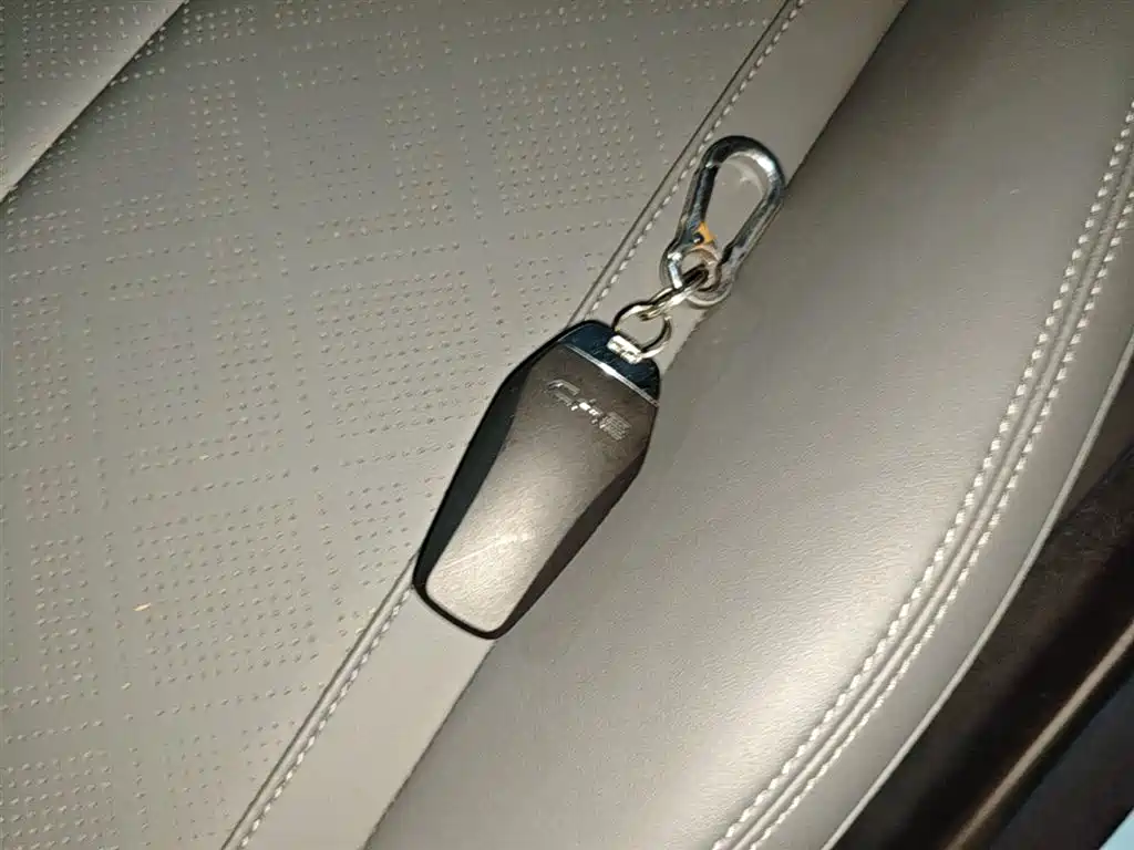 BYD Qin PLUS 2025 DM-i Smart Drive 55KM Leader фото 9