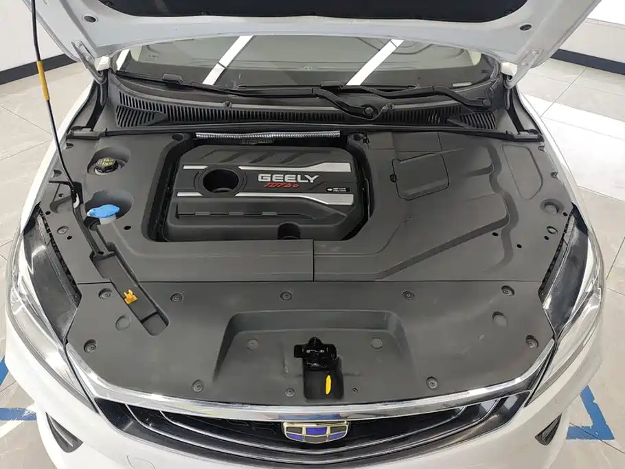 Geely Binrui 2019 2018 1.4T Manual Binzhi Edition