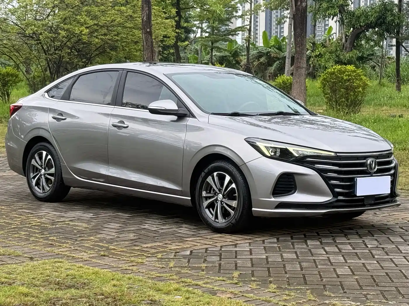 Фото 3 - Changan Eado