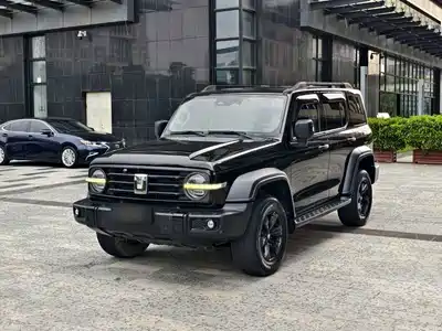 Tank 300