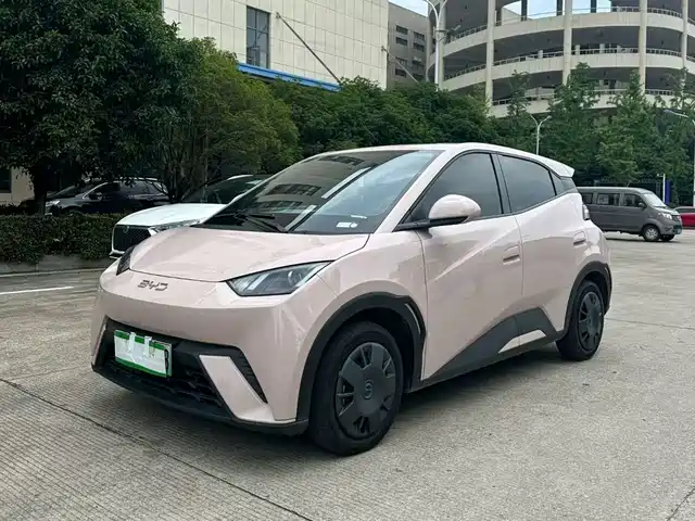 BYD Seagull 2025