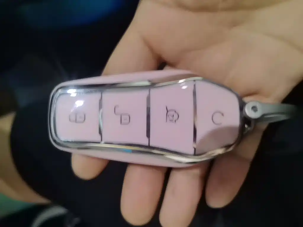 BYD Song L EV 2024 2024 Model 662km Excellence