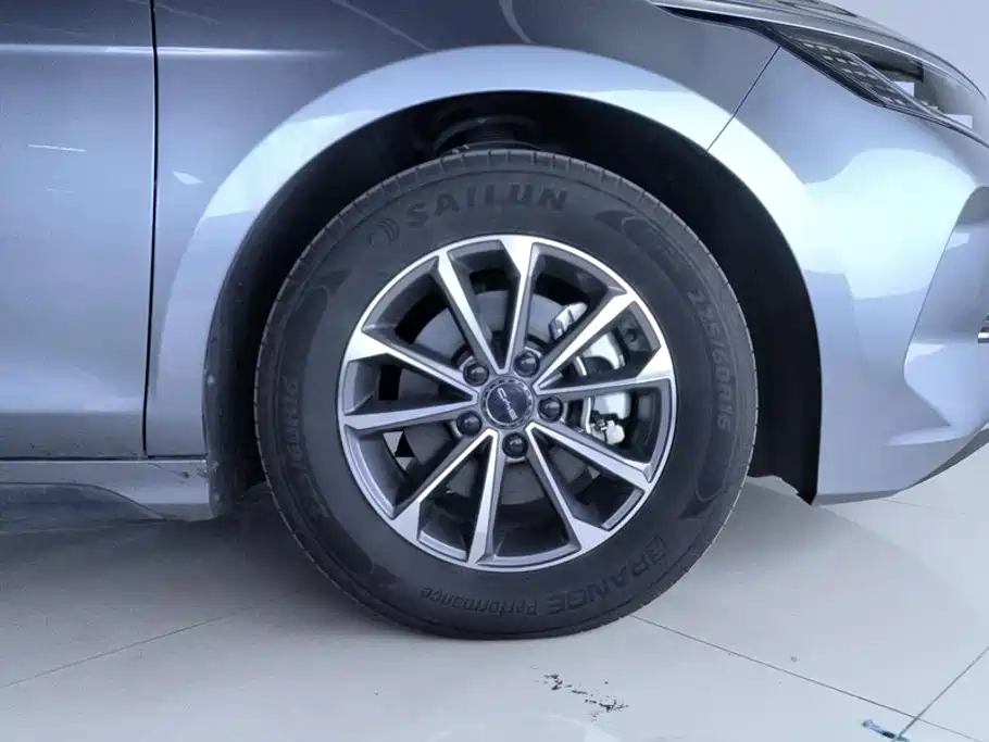 BYD Destroyer 05 2025 2024 Glory Edition DM-i 55KM Luxury