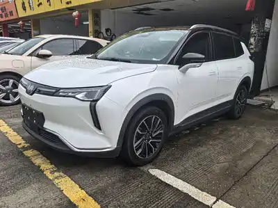 WM Motor W6