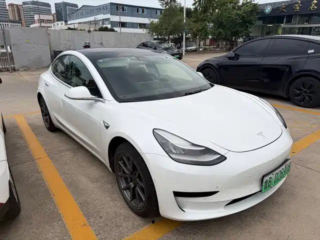 Tesla Model 3 2020 Standard Range Rear-Wheel Drive Upgrade — фото 3