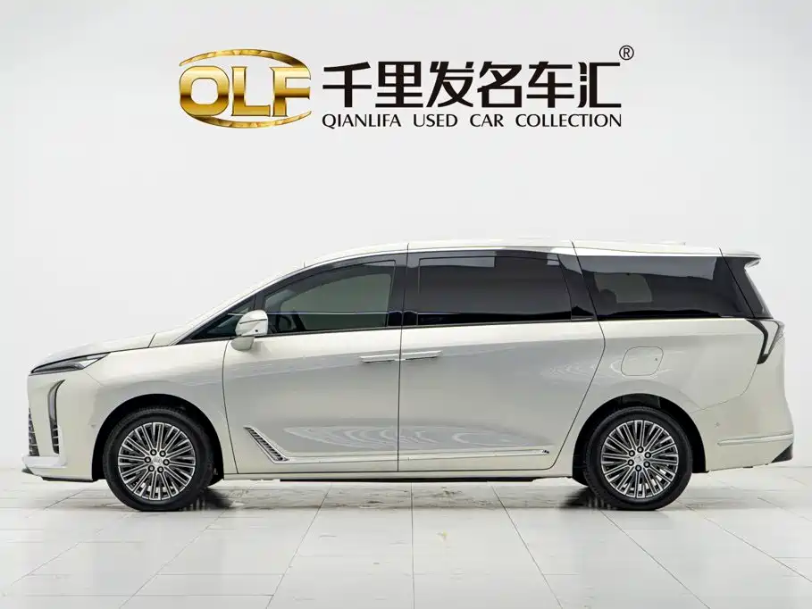 Buick GL8 New Energy 2024 2024 Land Honor Luxury Edition 6-Seater