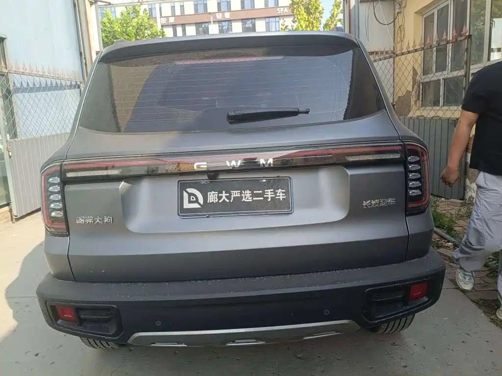 Фото 5 - Haval Dargo