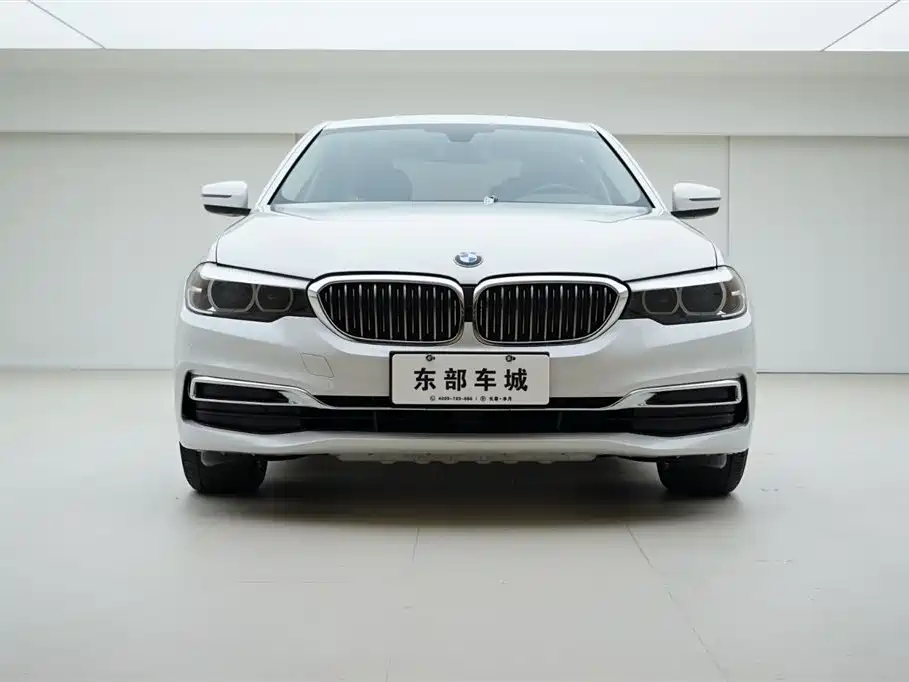 BMW 5 Series 2020 525Li Luxury Package фото 2