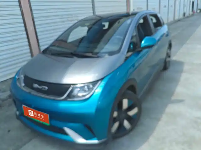 BYD Dolphin 2021 401km Knight Edition — фото 1