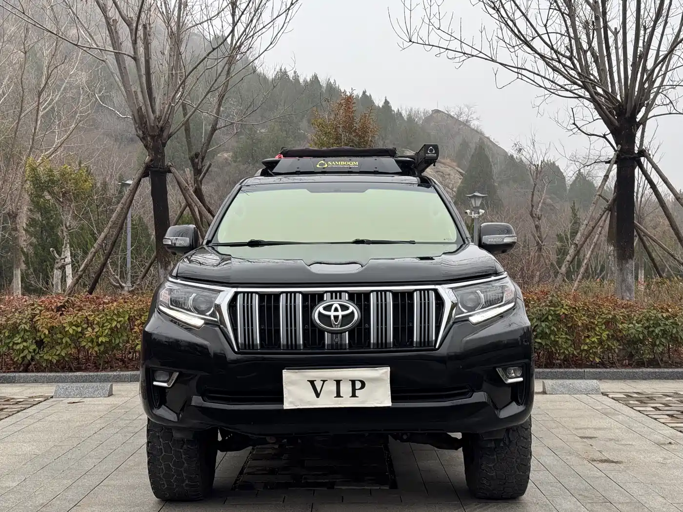 Toyota Prado (Import) 2010 2.7L Auto Luxury фото 2
