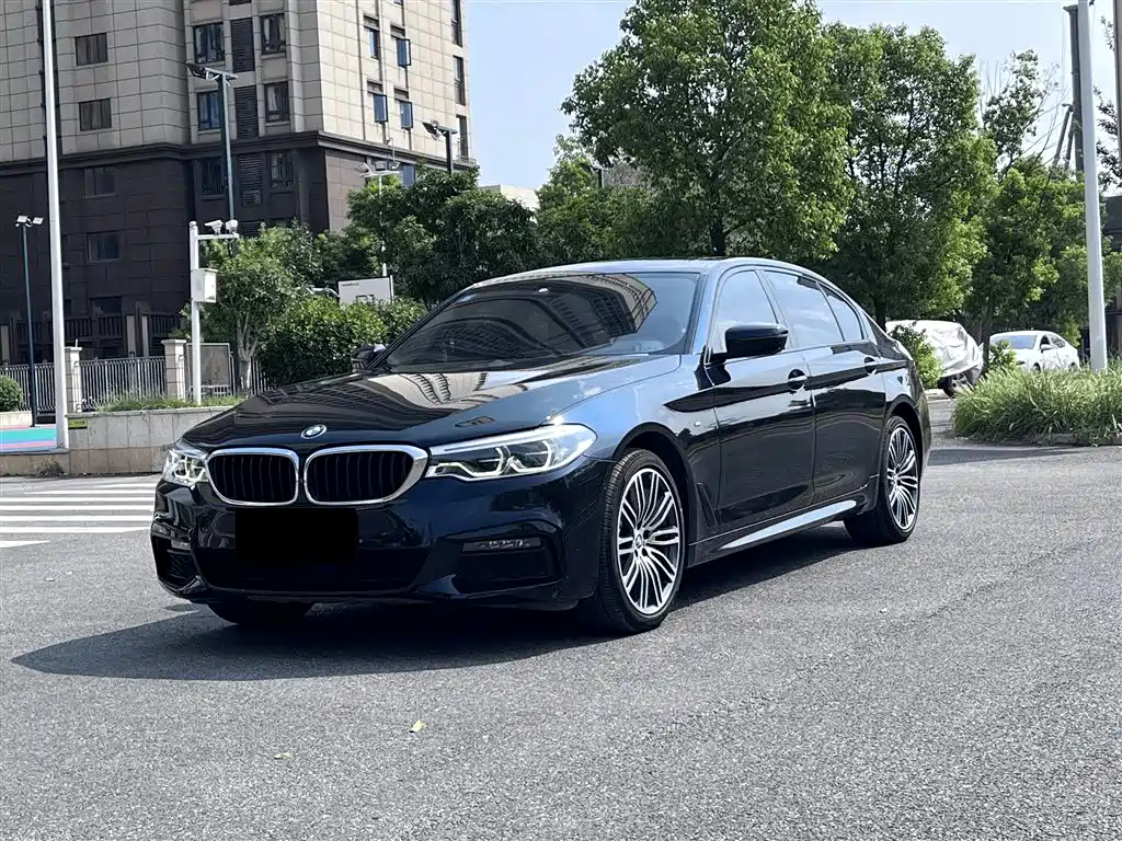 BMW 5 Series 2019 530Li Premium M Sport Package