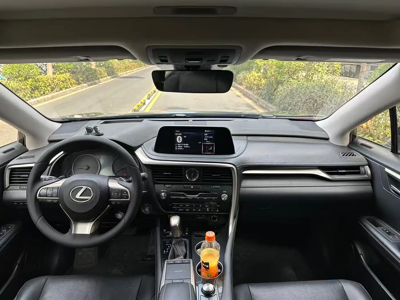 LEXUS RX
