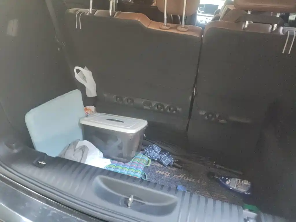 Chrysler Pacifica 2018 2017 3.6L Premium Edition
