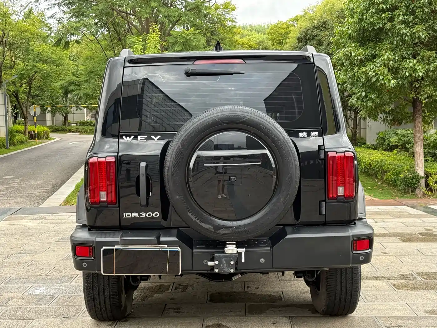 Tank 300 2021 2021 Off-road Version 2.0T Conqueror