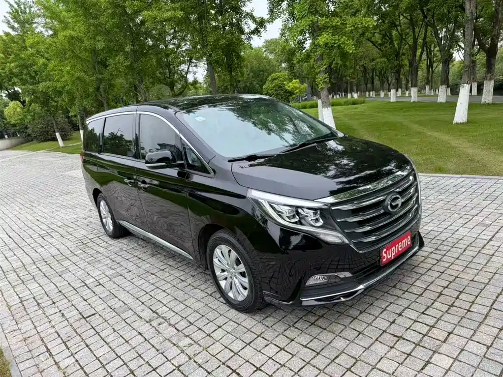 GAC Trumpchi Trumpchi M8 2018 2018 320T Exclusive Edition