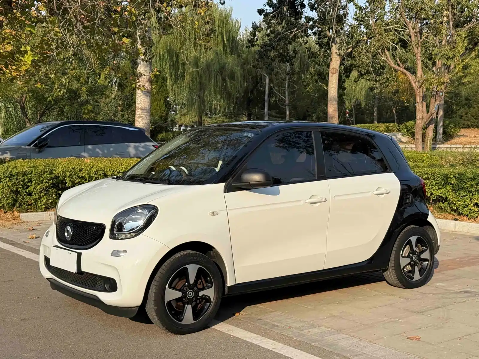 Фото 1 - smart forfour