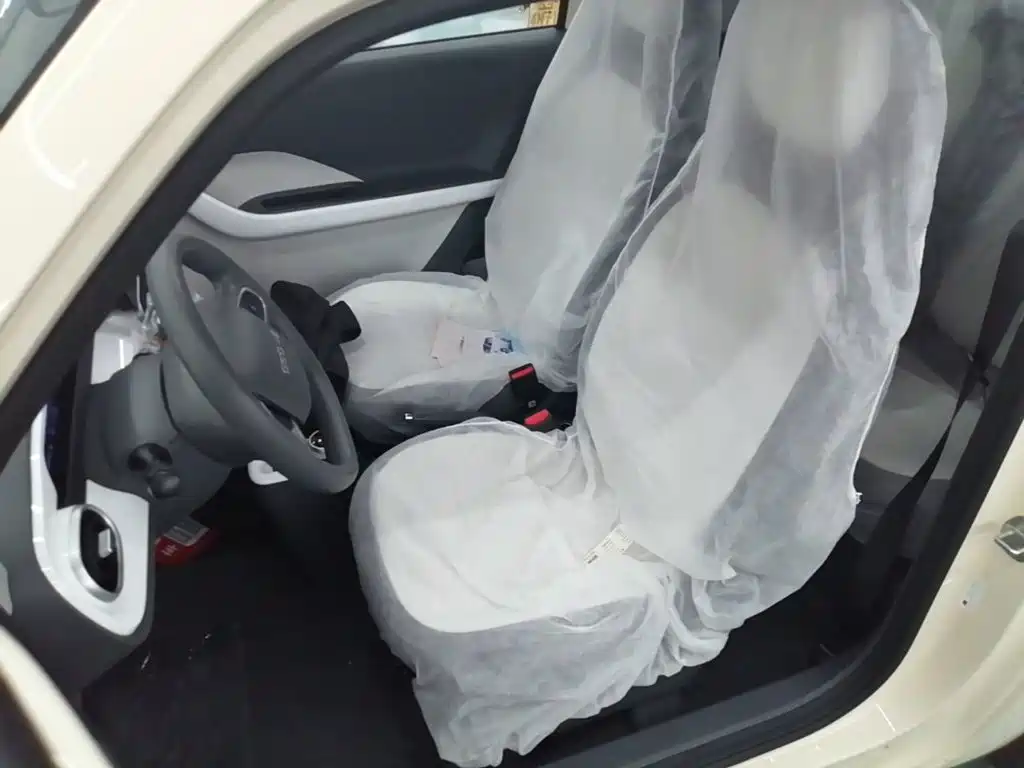Geely Galaxy Panda 2026 2025 Panda mini 210km Vitality Bear