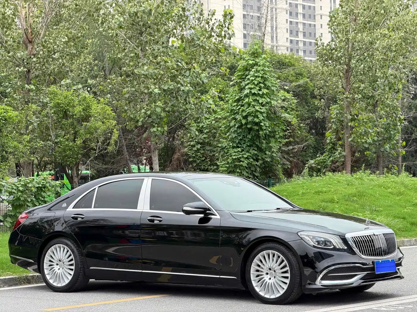 Mercedes-Benz S-Class 2020 S 350 L Business Edition Collector's Version фото 3
