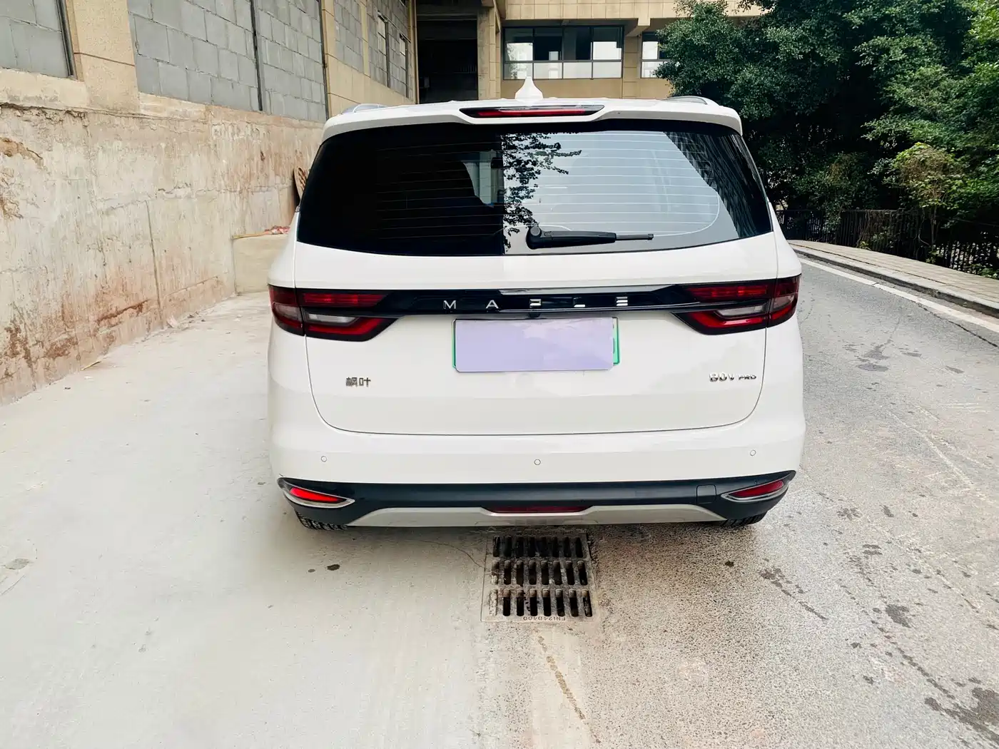 RUILAN AUTOMOBILE MAPLE LEAF 80V PRO