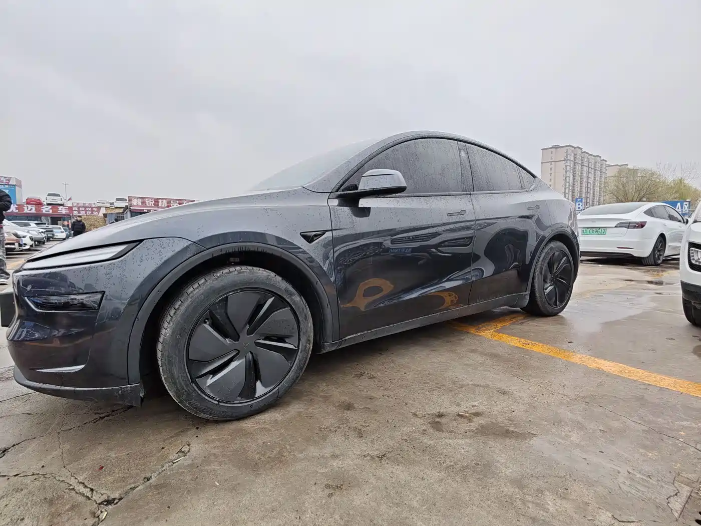 TESLA MODEL Y