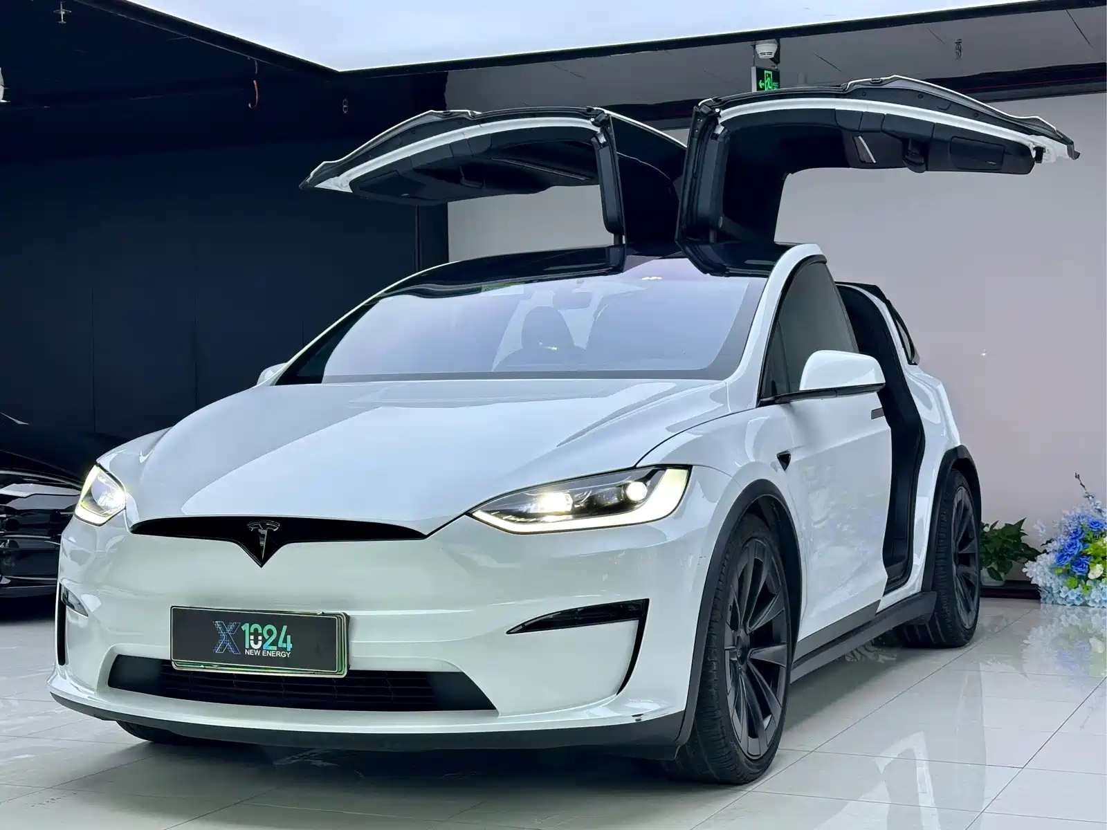 Фото 1 - Tesla Model X