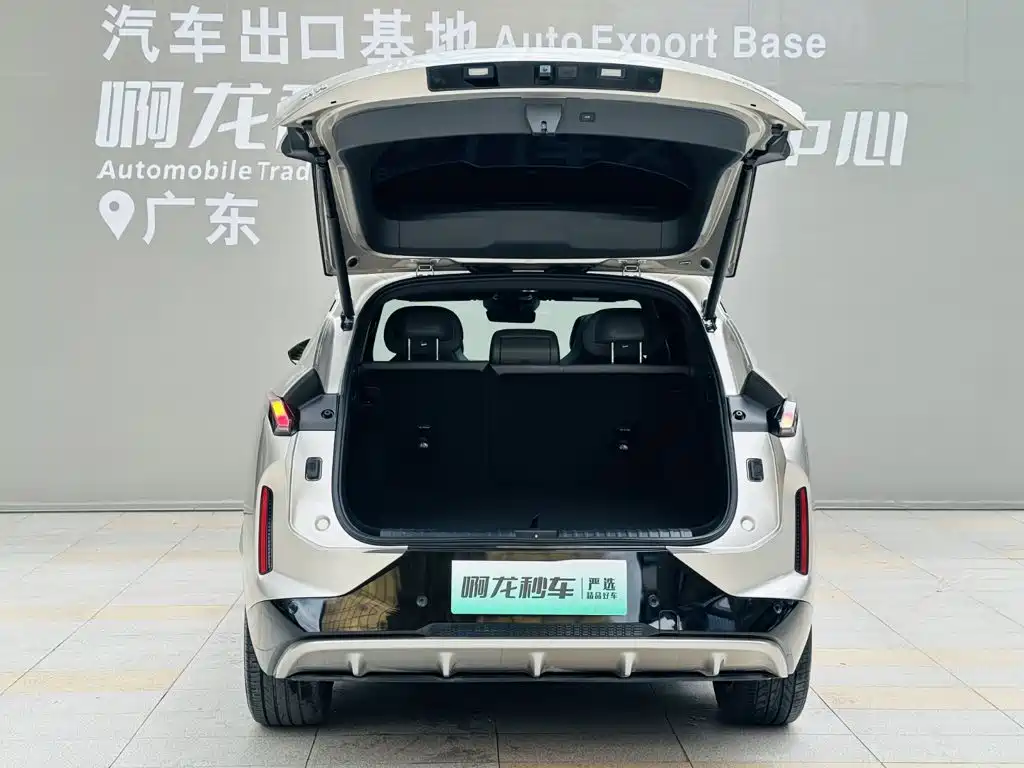 Lynk & Co 08 EM-P 2025 2025 120km Long Range Pro