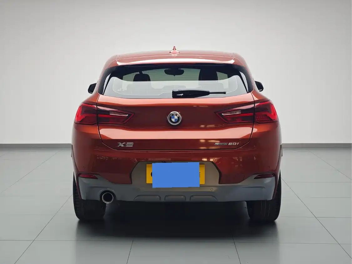 BMW X2 (Import) 2019 2019 sDrive20i M Off-Road Package China VI