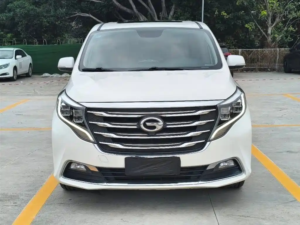 GAC Trumpchi Trumpchi M8 2018 320T Premium Edition фото 10