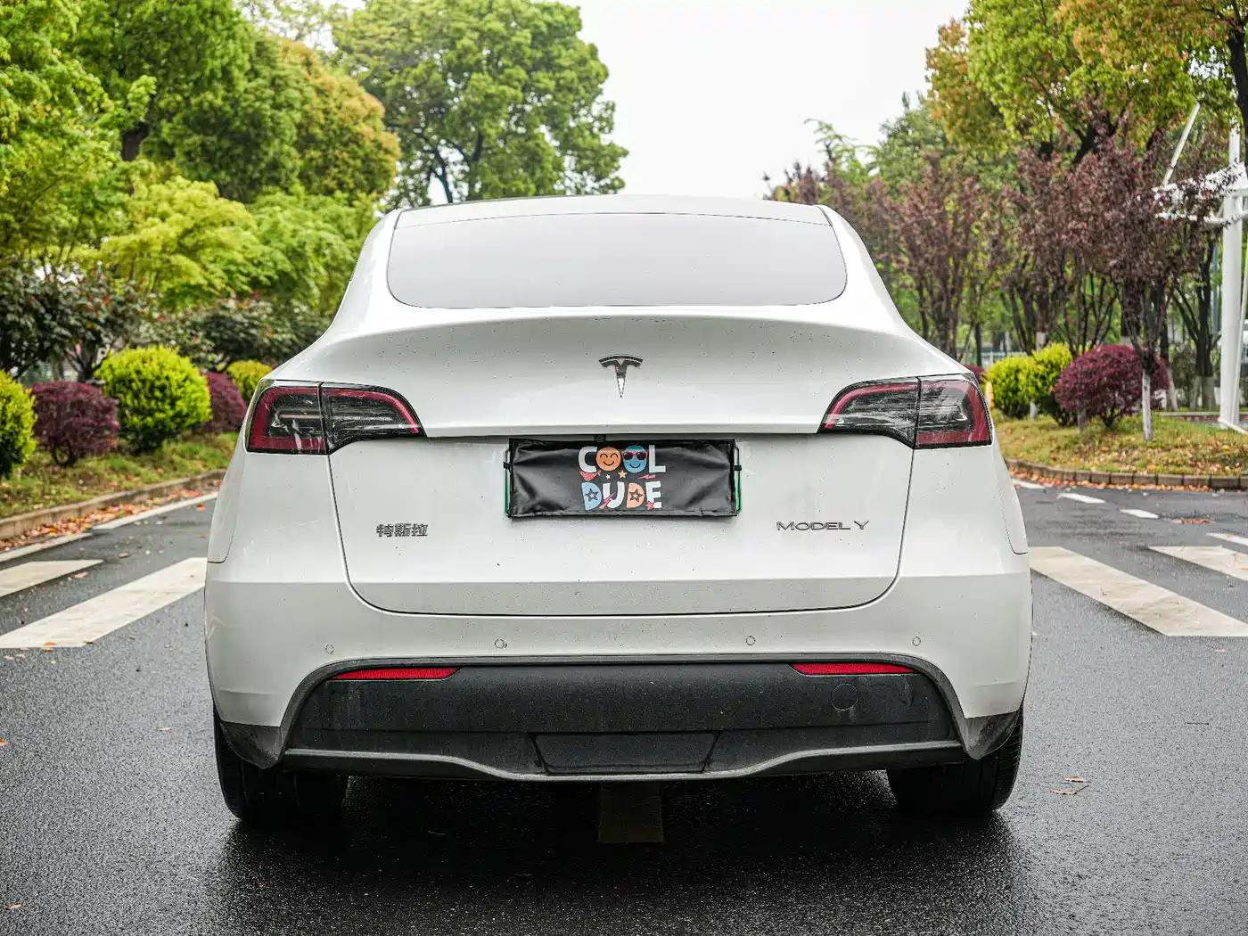TESLA MODEL Y