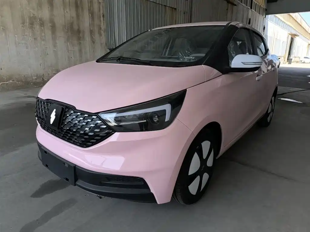 JMCG New Energy Yizhi EV3 2025 Plus 330KM Comfort