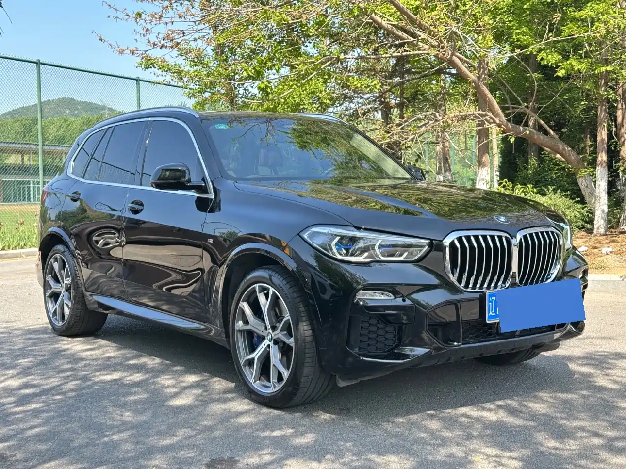 BMW X5 (Import) 2020 xDrive40i Premium M Sport Package фото 2