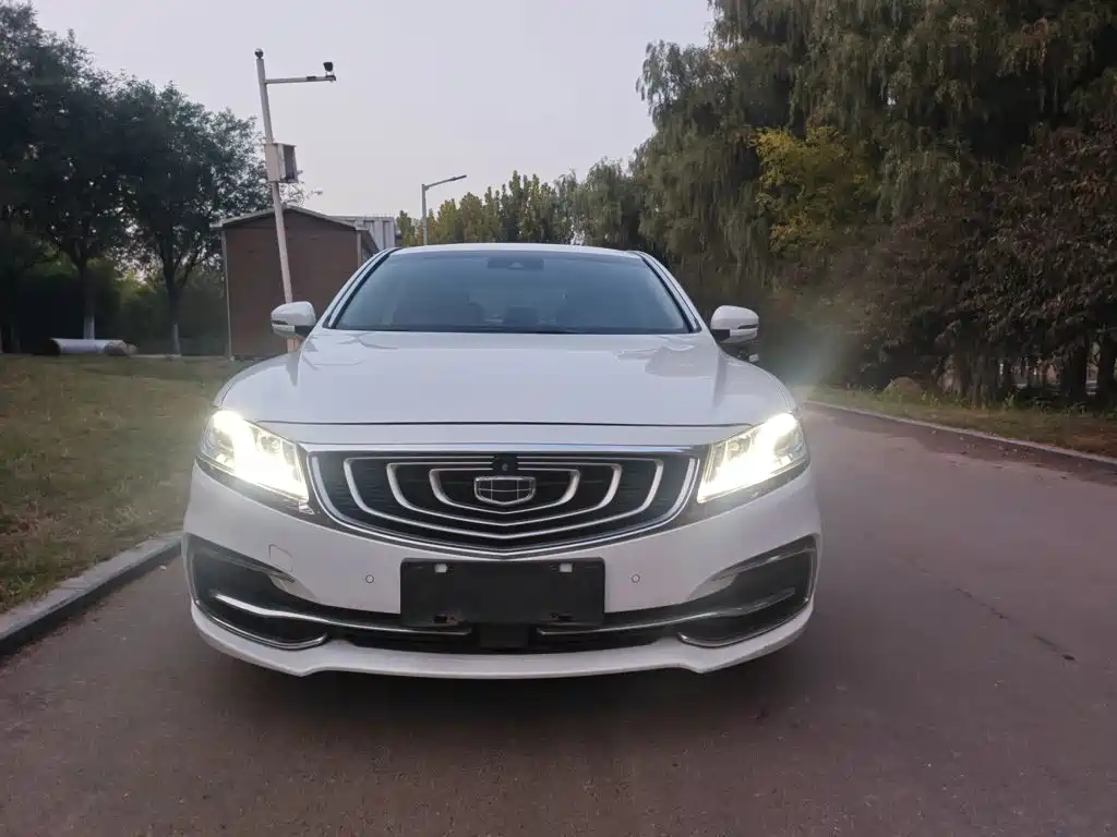 Фото 8 - Geely Borui