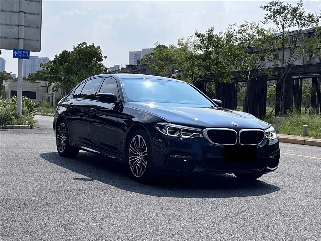 BMW 5 Series 2019 530Li Premium M Sport Package фото 3